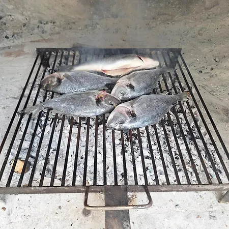 Latica * 斯普利特